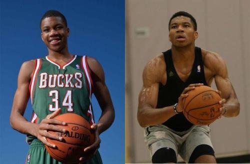 几乎垄断了 几乎垄断了